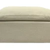 Ottoman Cozy II