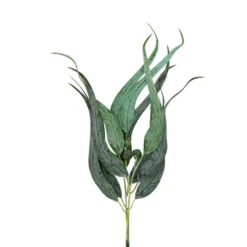 Ramillete De Eucalipto